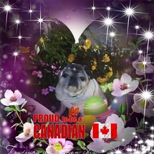 Meet your Posher, Joyce